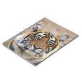 Portrait of Royal Bengalisch Tiger, Ranthambhor Notizblock (Linke Seite)