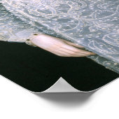 Portrait of Unknown Lady c.1595 Fine Art Poster (Ecke)