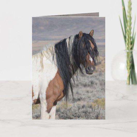 Portrait of Zephyr Wild Horse Greeting Card Einladung (Vorderseite)