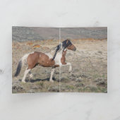 Portrait of Zephyr Wild Horse Greeting Card Einladung (Innenseite)