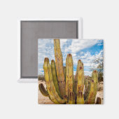Portrait Old Man Cactus, Mexiko Magnet (Vorderseite/Rückseite)