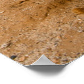 Portrait Old Man Cactus, Mexiko Poster (Ecke)