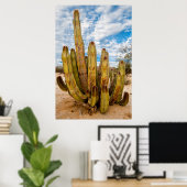 Portrait Old Man Cactus, Mexiko Poster (Heimbüro)