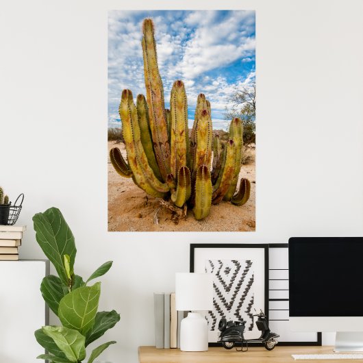 Portrait Old Man Cactus, Mexiko Poster (Heimbüro)