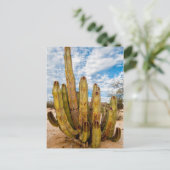 Portrait Old Man Cactus, Mexiko Postkarte (Stehend Vorderseite)