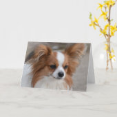 Portrait Papillon Dog Karte (Gelbe Blume)