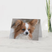 Portrait Papillon Dog Karte (Vorderseite)