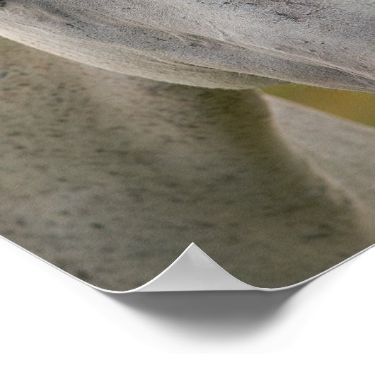 Portrait Poster (Ecke)