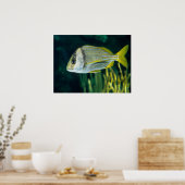 Portrait Poster (Küche)