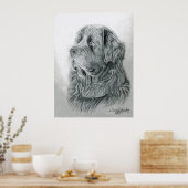 Portrait Poster von Neufundland (Küche)