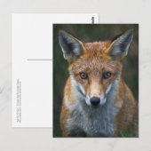 Portrait Postkarte (Vorne/Hinten)