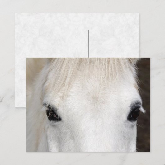 Portrait Postkarte (Vorne/Hinten)