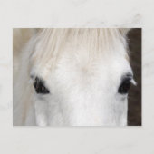 Portrait Postkarte (Vorderseite)