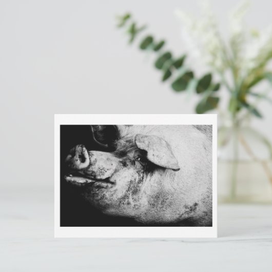 Portrait Postkarte (Stehend Vorderseite)