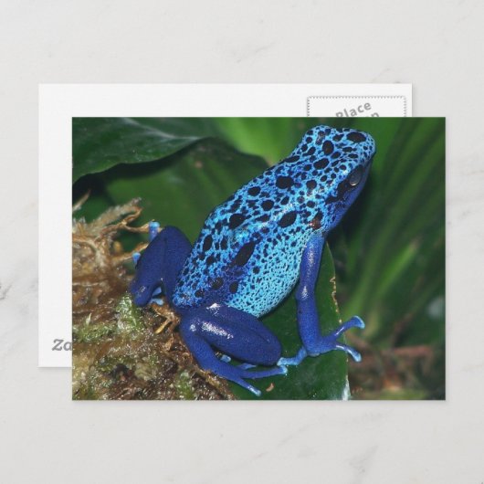 Portrait Postkarte (Vorne/Hinten)