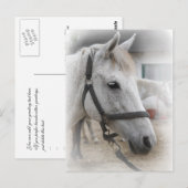 Portrait Postkarte (Vorne/Hinten)