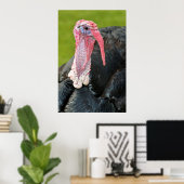 Portrait Pute Poster (Heimbüro)