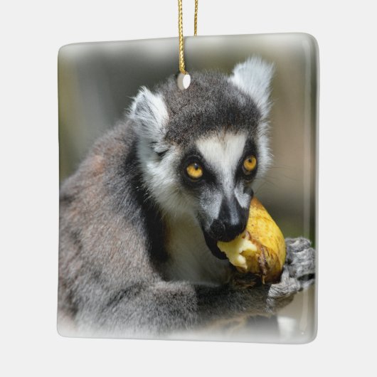 Portrait-Ringelmagen, der eine Banane isst Keramikornament (Links)