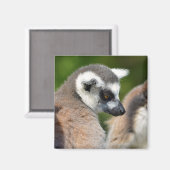 Portrait-Ringelmagen Magnet (Vorderseite/Rückseite)