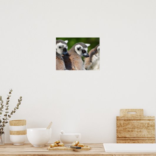 Portrait-Ringelmagen Poster (Küche)