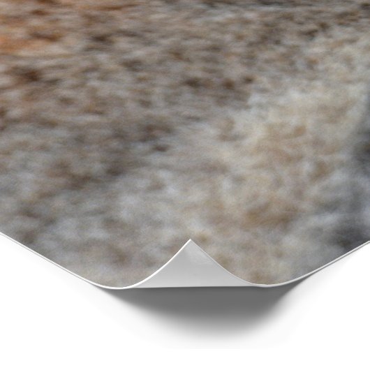 Portrait-Ringelmagen Poster (Ecke)