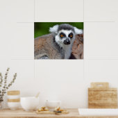 Portrait-Ringelmagen Poster (Küche)