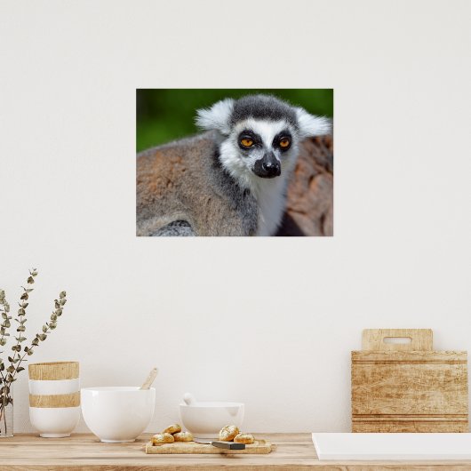 Portrait-Ringelmagen Poster (Küche)