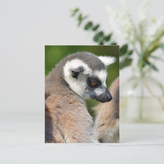 Portrait-Ringelmagen Postkarte (Stehend Vorderseite)