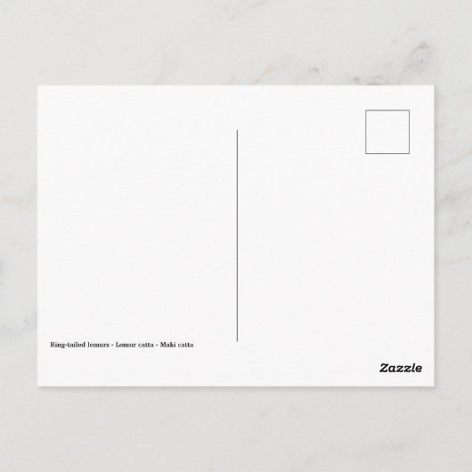 Portrait-Ringelmagen Postkarte (Rückseite)