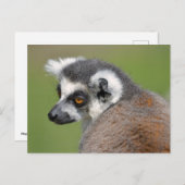 Portrait-Ringelmagen Postkarte (Vorne/Hinten)