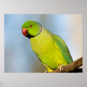 Portrait-Rose Poster (Vorne)