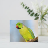 Portrait-Rose Postkarte (Stehend Vorderseite)