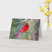 Portrait Roter Kardinal Karte (Gelbe Blume)