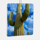Portrait Saguaro Cactus, Arizona Keramikornament (Rechts)