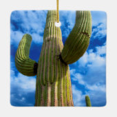 Portrait Saguaro Cactus, Arizona Keramikornament (Rückseite)