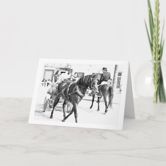 Portrait Schwarz-Weiß-Spanische Pferde Karte (Vorderseite)