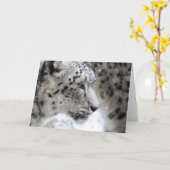 Portrait Snow Leopard Karte (Gelbe Blume)