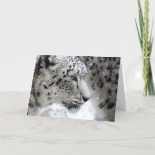 Portrait Snow Leopard Karte