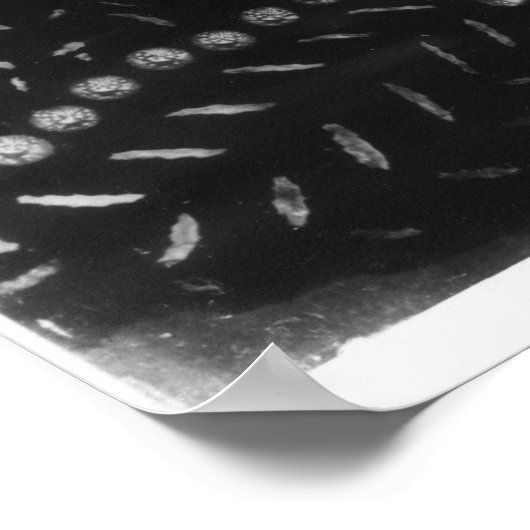 Portrait soll Christopher Marlowe sein Poster (Ecke)