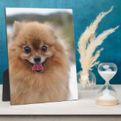 Portrait Spitz Dog Fotoplatte (Seite)