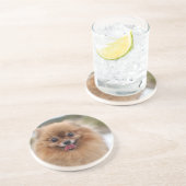 Portrait Spitz Dog Getränkeuntersetzer (Seite)