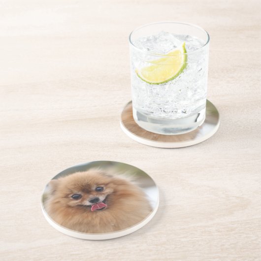 Portrait Spitz Dog Getränkeuntersetzer (Seite)