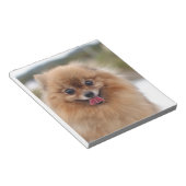 Portrait Spitz Dog Notizblock (angewinkelt)