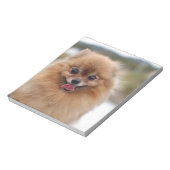 Portrait Spitz Dog Notizblock (Rotiert)