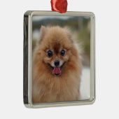 Portrait Spitz Dog Ornament Aus Metall (Rechts)