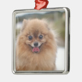 Portrait Spitz Dog Ornament Aus Metall (Links)