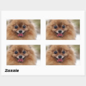 Portrait Spitz Dog Rechteckiger Aufkleber (Blatt)
