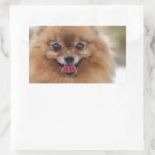 Portrait Spitz Dog Rechteckiger Aufkleber (Tasche)
