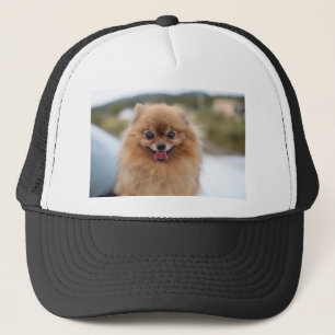 Portrait Spitz Dog Truckerkappe