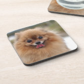 Portrait Spitz Dog Untersetzer (Linke Seite)
